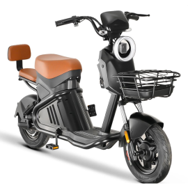 Bicicleta Eltrica WD - 2 1000W
