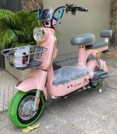 Bicicleta eltrica e-bike
