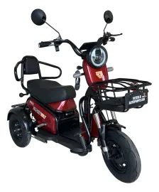 Triciclo Eletrico Adulto