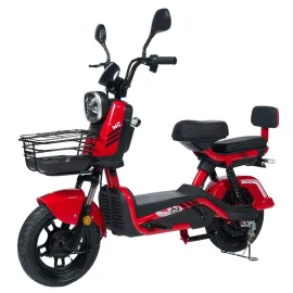 Bicicleta Eltrica JOY SUPER 1000w