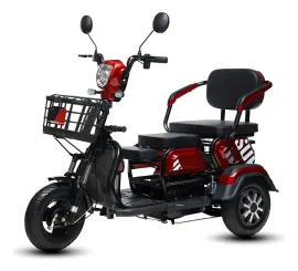 Triciclo Eltrico 3 Lugares 1000W