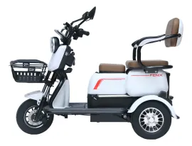 Triciclo Eltrico 1000 W Fnix